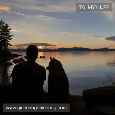 程会旎